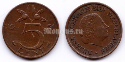 монета Нидерланды 5 центов 1951 год