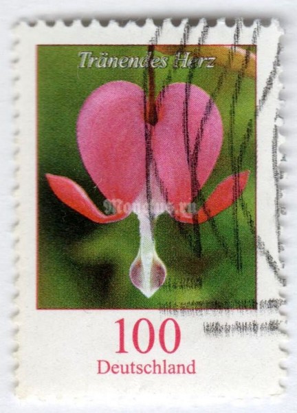 марка ФРГ 100 центов "Flowers - Bleeding Heart - Lamprocapnos spectabilis*" 2006 год Гашение