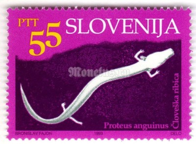 марка Словения 55 толар "Cave animals - European cave salamander" 1993 год
