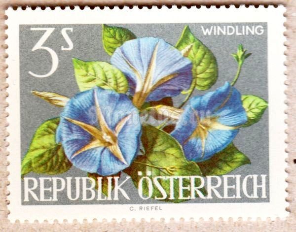 марка Австрия 3 Австрийских шиллинга "Ипомея" 1964 год