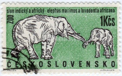 марка Чехословакия 1 крона "Asian Elephant (Elephas maximus)" 1962 год гашение