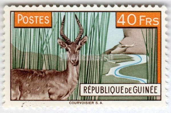 марка Гвинея 40 франков "Bohor Reedbuck (Redunca redunca)" 1961 год 