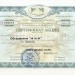 Сертификат акций МММ на 10 000 рублей 1994 год, серия АБ, гашение, синяя печать