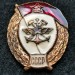 Знак ВУ СССР Военное училище, ЖДВ