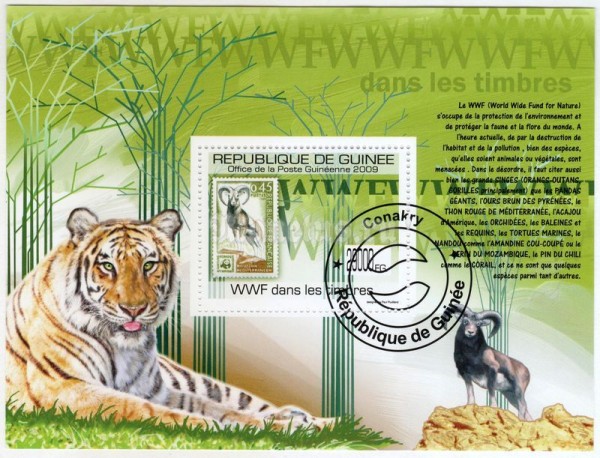Блок Гвинея ( фауна ) Тигр, Баран