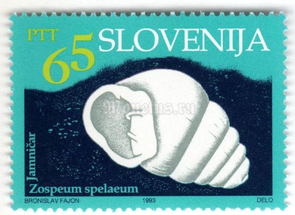марка Словения 65 толар "Cave animals - Cave snail" 1993 год