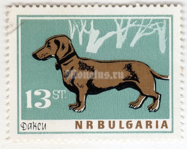 марка Болгария 13 стотинок "Dachshund (Canis lupus familiaris)" 1964 год 