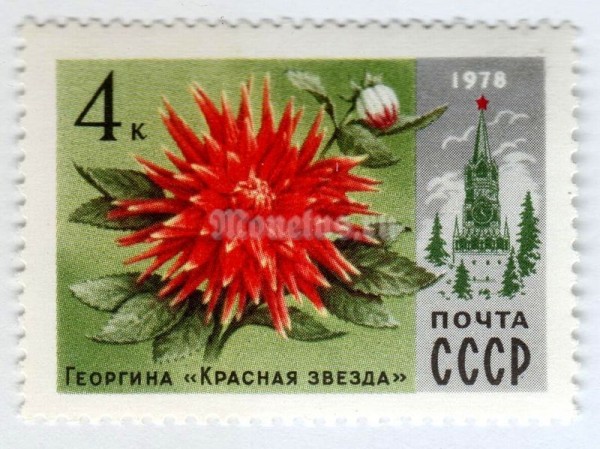 марка СССР 4 копейки "Георгина" 1978 года