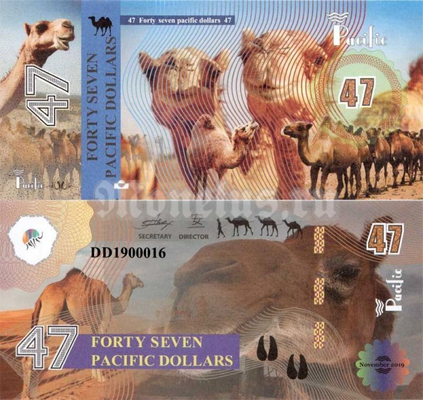 бона Тихий океан 47 долларов 2019 год - Верблюд
