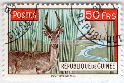 марка Гвинея 50 франков "Bohor Reedbuck (Redunca redunca)" 1961 год Гашение