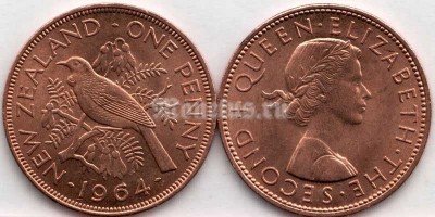 монета Новая Зеландия 1 пенни 1964 год - Новозеландский туи