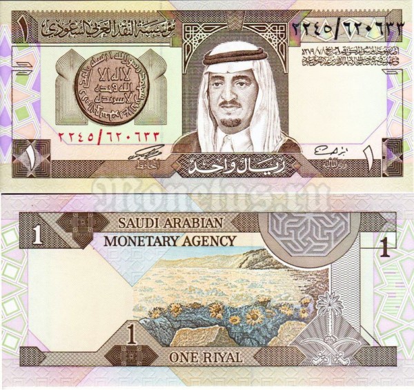 Банкнота Саудовская Аравия 1 риал 1984 год