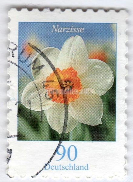 марка ФРГ 90 центов "Narcissus poeticus - Narcissus*" 2006 год Гашение