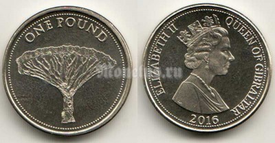 монета Гибралтар 1 фунт 2016 год Драконово дерево