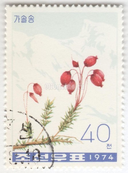 марка Северная Корея 40 чон "Purple mountain heather (Phyllodoce caerulea)" 1974 год Гашение