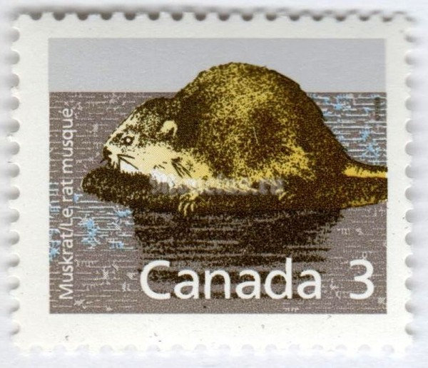 марка Канада 3 цента "Muskrat (Ondatra zibethicus)" 1988 год