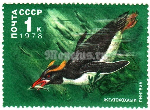 марка СССР 1 копейка "Пингвин под водой" 1978 год