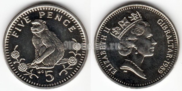 Монета Гибралтар 5 пенсов 1989 год Обезьяна