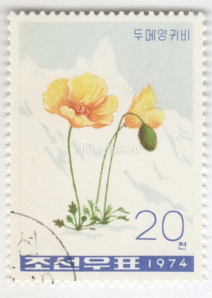 марка Северная Корея 20 чон "Poppies (Papaver radicatum)" 1974 год Гашение