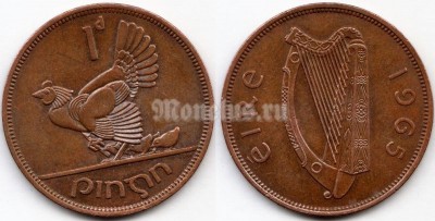 монета Ирландия 1 пенни 1965 год Глухарь