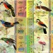 Большой Элобей набор из 6 банкнот 2016 год