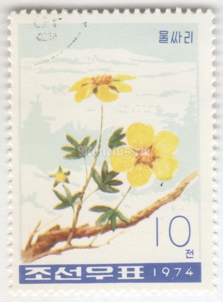 марка Северная Корея 10 чон "Shrubby cinquefoil (Potentilla fruticosa)" 1974 год Гашение