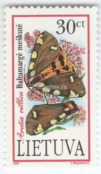 марка Литва 30 центес "Cream-spot Tiger (Arctia villica)" 1995 год