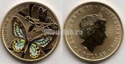 монета Австралия 1 доллар 2016 год - Бабочка Птицекрыл Ричмонда