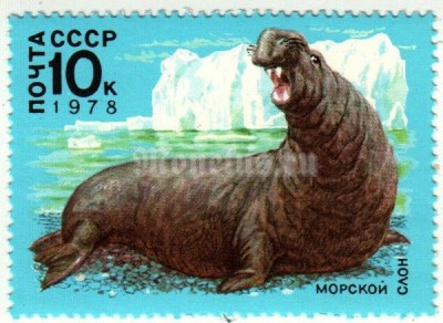 марка СССР 10 копеек "Морской слон" 1978 год