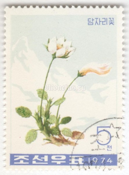марка Северная Корея 5 чон "Mountain avens (Dryas octopetala)" 1974 год Гашение