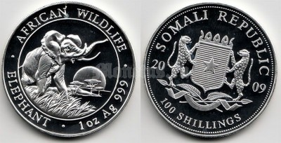 монета Сомали 100 шиллингов 2009 год слон PROOF