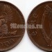 монета Ирландия 1 пенни 1941 год Глухарь