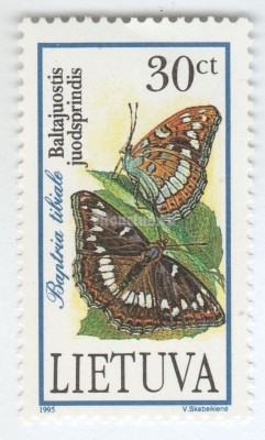 марка Литва 30 центес "Moth (Baptria tibiale)" 1995 год