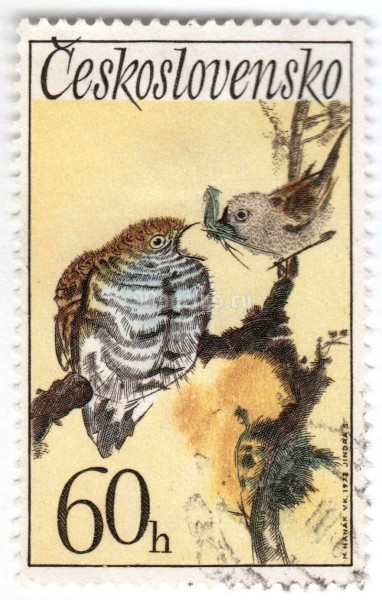марка Чехословакия 60 геллер "Common Cuckoo (Cuculus canorus), Garden Warbler (Sylvia bori)" 1972 год Гашение