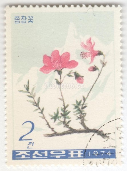 марка Северная Корея 2 чона "Rhododendron redowskianum" 1974 год Гашение