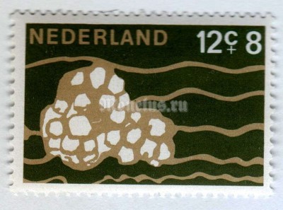 марка Нидерланды 12+8 центов "Egg Capsule of the Common Whelk (Buccinum undatum)" 1967 год