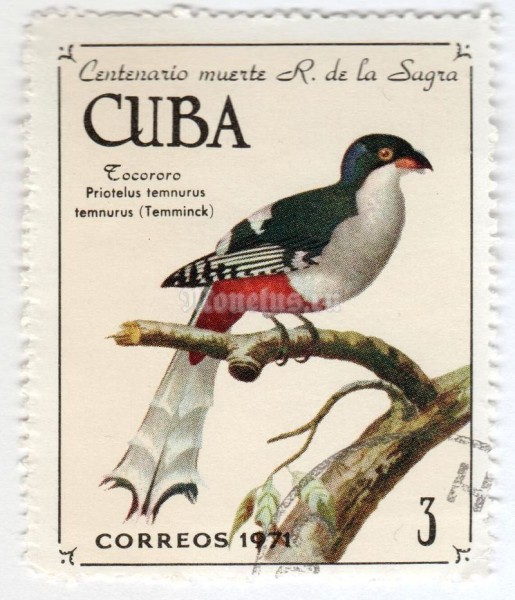 марка Куба 3 центаво "Cuban Trogon (Priotelus temnurus)"  1971 год Гашение