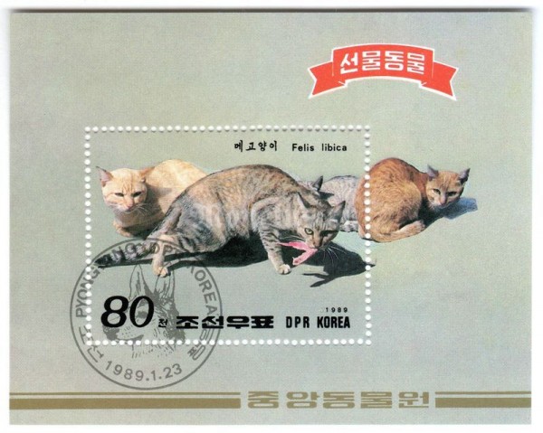 блок Северная Корея 80 чон "African Wildcat (Felis silvestris lybica)" 1989 год Гашение