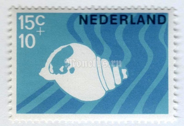марка Нидерланды 15+10 центов "Common Whelk (Buccinum undatum)" 1967 год