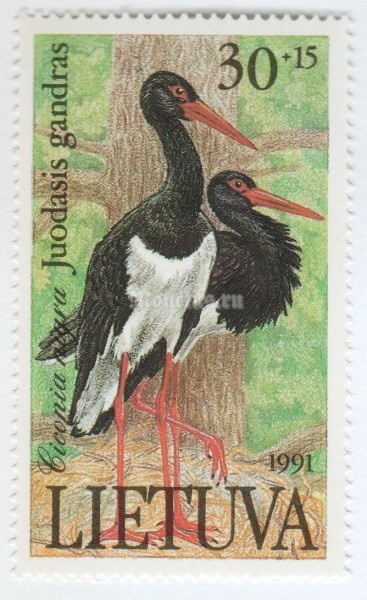 марка Литва 30+15 копеек "Black Stork (Ciconia nigra)" 1991 год