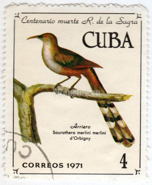 марка Куба 4 центаво "Cuban Lizard-cuckoo (Coccyzus merlini)"  1971 год Гашение