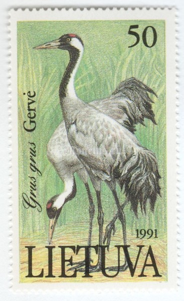 марка Литва 50 копеек "Gray Crane (Grus grus)" 1991 год
