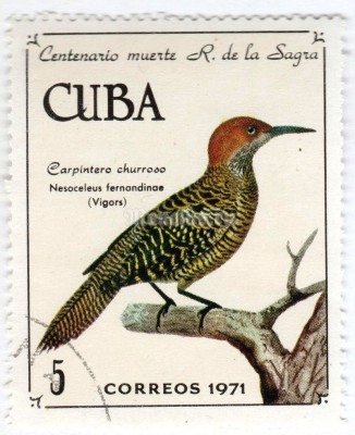 марка Куба 5 центаво "Cuban Flicker (Nesoceleus fernandinae)"  1971 год Гашение