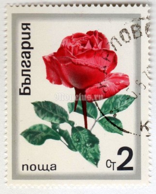 марка Болгария 2 стотинки "Rose" 1970 год Гашение