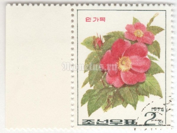марка Северная Корея 2 чона "Rose varieties" 1974 год Гашение