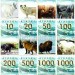 Набор из 11 сувенирных банкнот Аляска 2016 год Выпуск 1-й