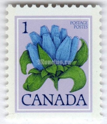 марка Канада 1 цент "Bottle Gentian, Gentiana andrewsii" 1977 год