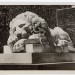Открытка Крым Алупка музей изобразительных искусство Спящий лев скульптура, чистая
