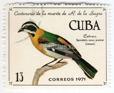 марка Куба 13 центаво "Cuban Western Spindalis (Spindalis zena pretrei)"  1971 год Гашение