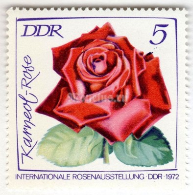 марка ГДР 5 пфенниг "Karneolrose" 1972 год 